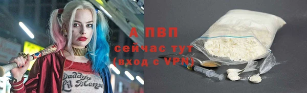 дживик Касимов