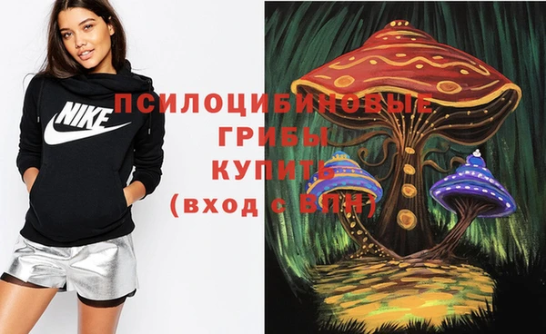круглые Алзамай