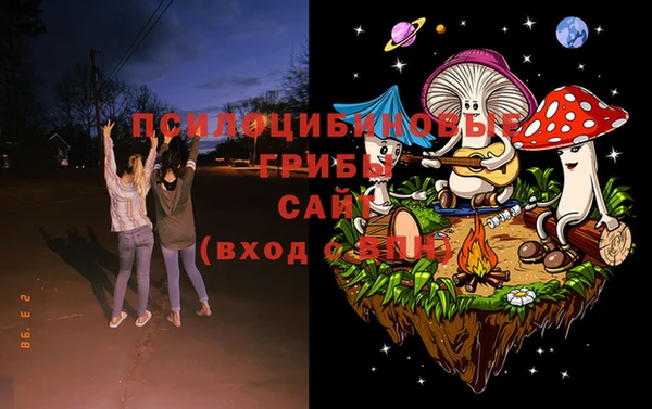 мяу мяу мука Арсеньев