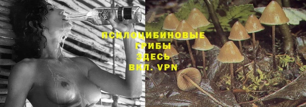 мяу мяу мука Арсеньев