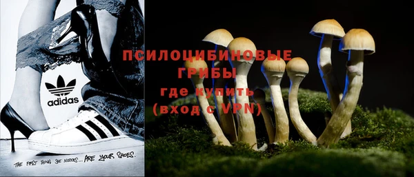 круглые Алзамай
